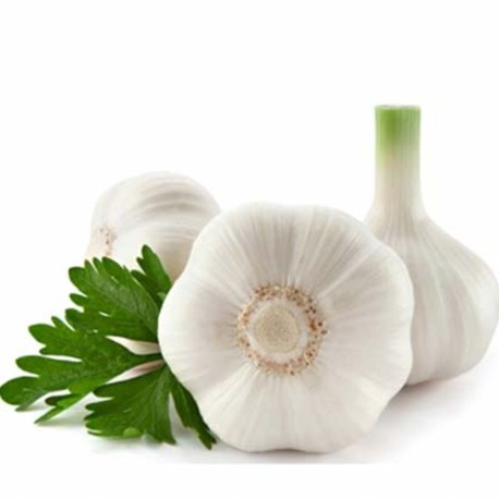 Sarımsak