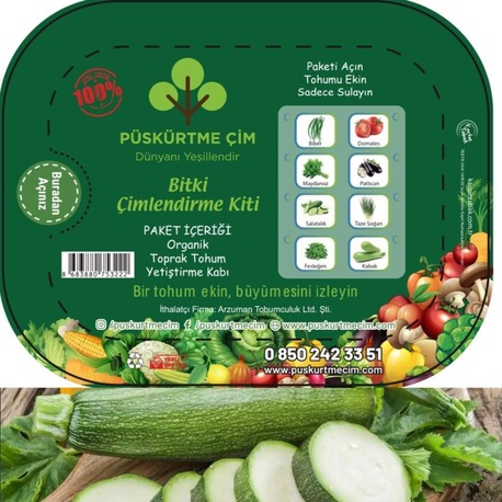 PÜSKÜRTME ÇİM SEBZE YETİŞTİRME TOHUMU (KABAK)