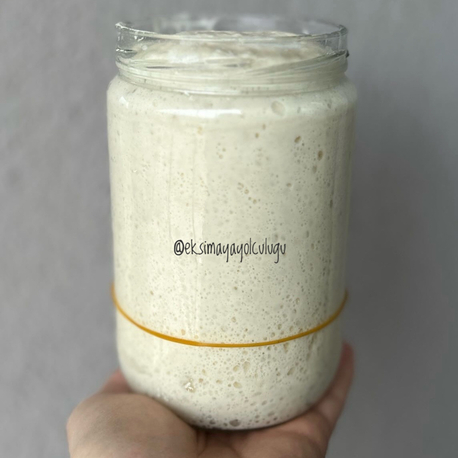 EKŞİ MAYA 100gr