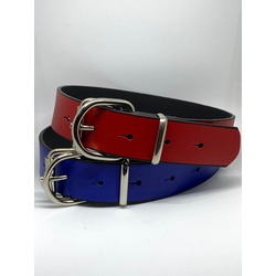 2'li Köpek Tasması Lacivert Kırmızı Boyun Tasması Small/Medium