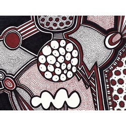Aboriginal Meditations