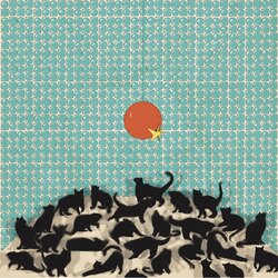 More Cats More Parties