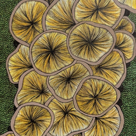 Fungi Gills