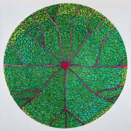 A Leaf