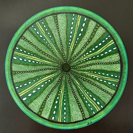 The Urchin