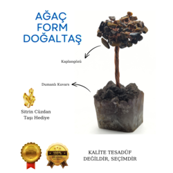 AĞAÇ FORM DOĞALTAŞ - D. KUVARS - KAPLANGÖZÜ