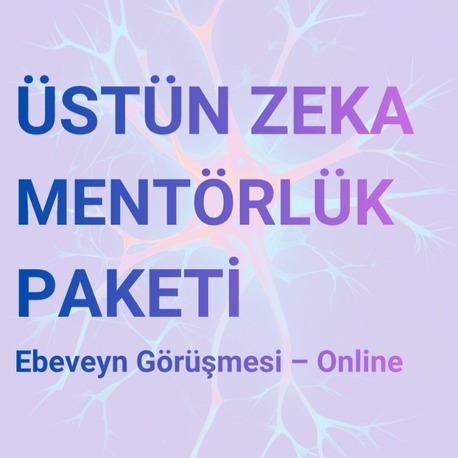 ÜSTÜN ZEKÂ FARKINDALIĞI MENTÖRLÜK PAKETİ