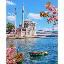 Sayılarla boyama seti