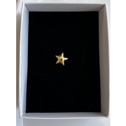 altın yıldız charm