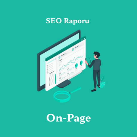 SEO Raporları - On-Page Raporu