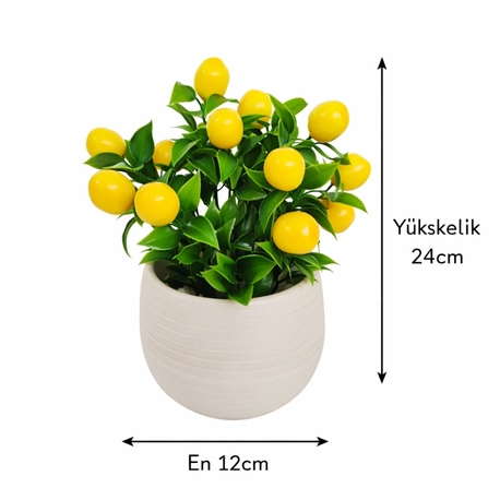 Yapay Limon Ağacı Saksılı