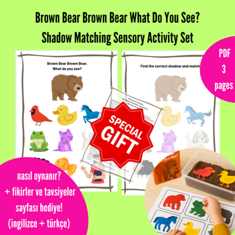 Brown Bear Shadow Matching – Duyusal Aktivite Seti (PDF)