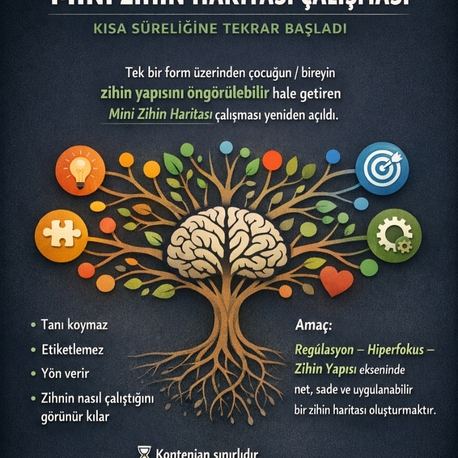 MİNİ ZİHİN HARITASI
