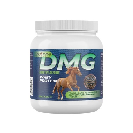 DMG 1KG EQ FORCE KENTUCKY
