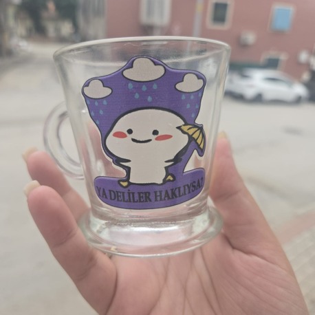 YA DELİLER HAKLIYSA Baskılı Çay Fincanı