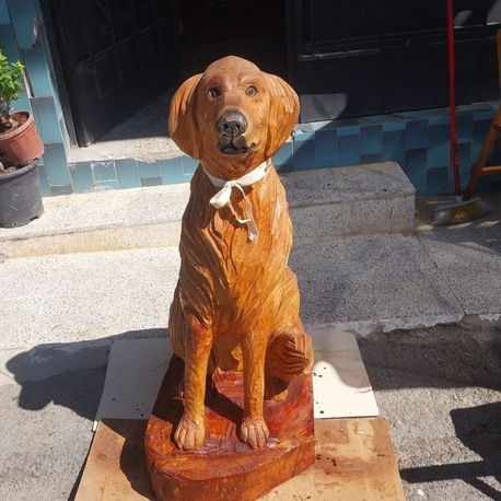 golden retriever