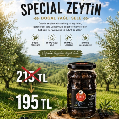 500 Gr Special Zeytin (181-230)