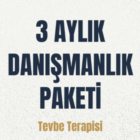 3 aylık danişmanlik paketi