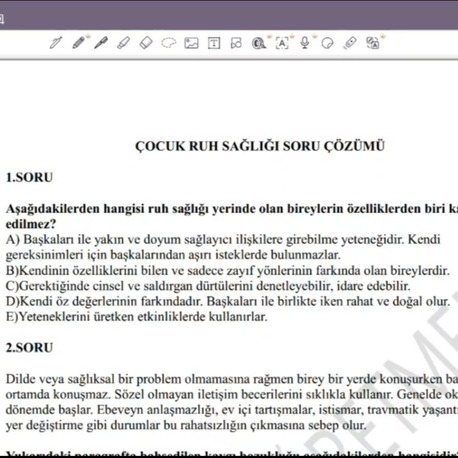 Çocuk Ruh Sağlığı Soru Pdf