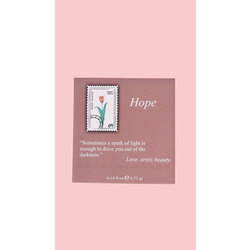 Hope (Işıltılı Bronzer/Allık) 