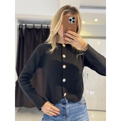 Gold düğme detaylı çelik örme hırka