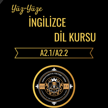 Yüz yüze İngilizce Dil Kursu