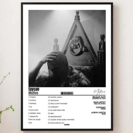 motive ''taycan'' Limited edition çerçeveli tablo