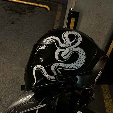 Snake sticker