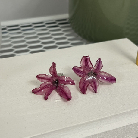 Pembe sümbül küpe