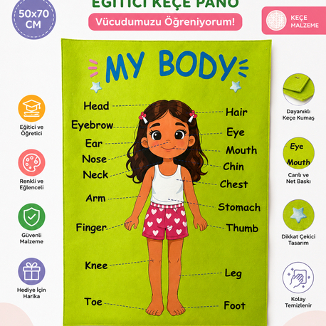 MY BODY Keçe Eğitim Panosu | 50x70 cm İngilizce Vücut Bölümleri Öğrenme Panosu