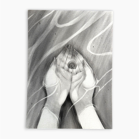 A Shell | Art Print