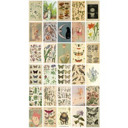 Vintage Botanical 30'lu Duvar Posteri Seti Oda Dekoru Vintage Botanical Poster Seti