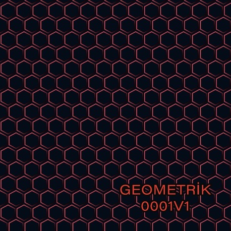 Geometrik Altıgen Desen 5 Varyantlı