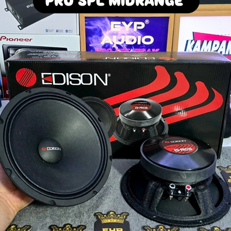 EDİSON PRO20 20 CM 250 RMS PRO SPL MİDRANGE 