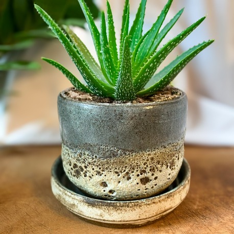 Stoneware Saksı & Tabak Seti