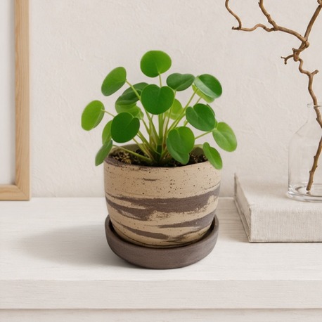 Stoneware Saksı + Tabak Seti