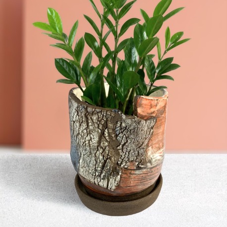 Stoneware Saksı & Tabak Seti (Özel Seri)