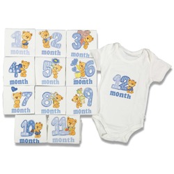 12'li Badi Set