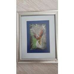 Secretary Bird