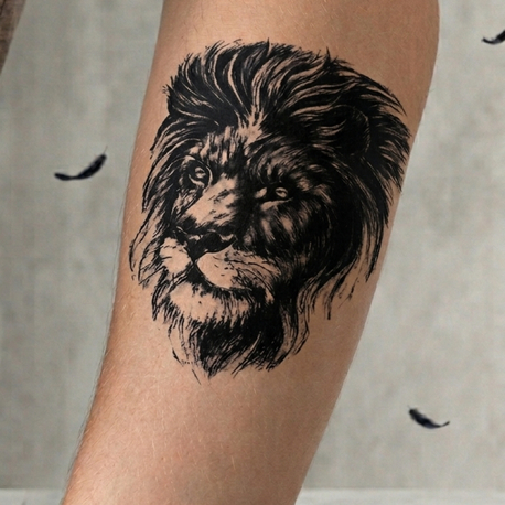 Minimal aslan