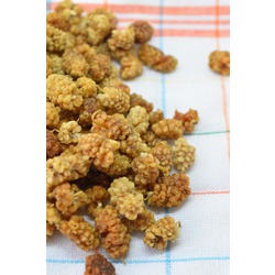Adıyaman Dut Kurusu 250 gr
