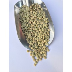 Yerli Yeşil Mercimek (Yozgat)  1 kg