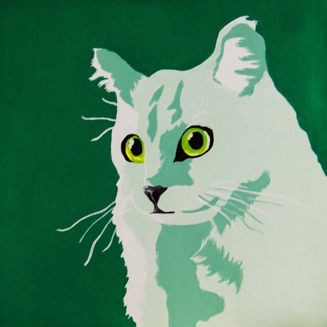 Kedi