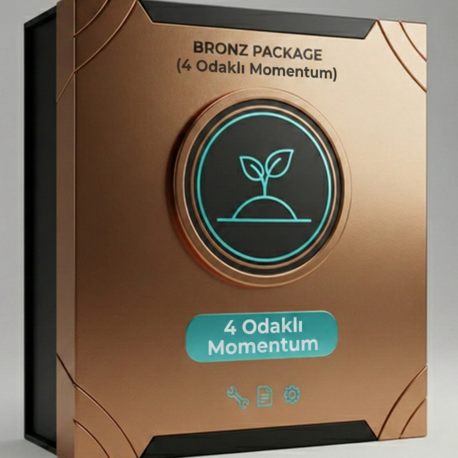 Süreç Mimarı Video Eğitim Programı (Bronze) + 4 Seans Yol Haritası