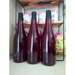 PANCAR KVASS 1 LT (SİRKELİ)
