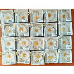 10 adet kutuda papatya mum 