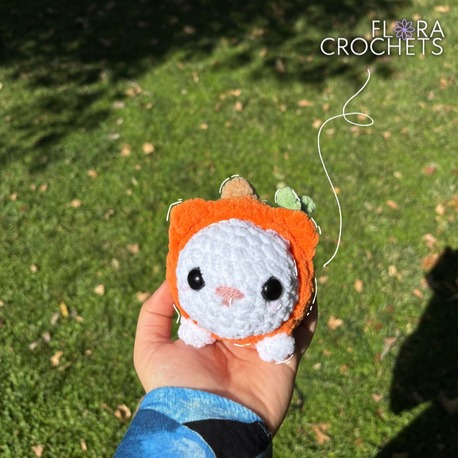 kedi ✧