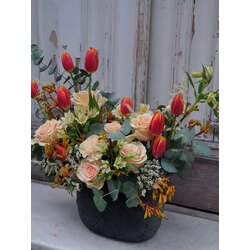 Organge Tulip