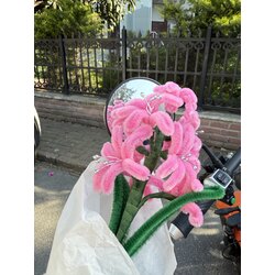 SÜMBÜL BUKETİ YAPIM KİTİ