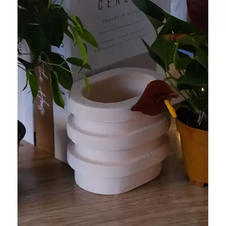 Oval Dekoratif Orta Boy Beton Saksı Kaktüs Sukulent Çiçek Saksısı